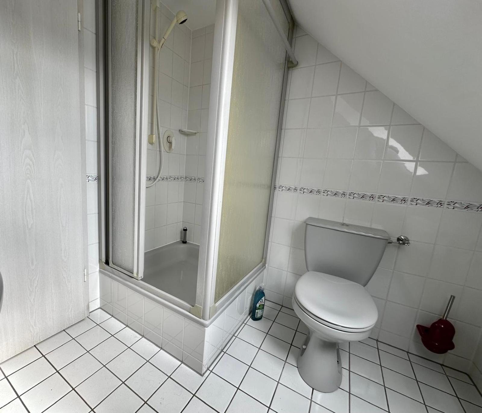 Ferienwohnung Sonnenschein Mit Kleinem Bauernhof Thale Eksteriør bilde